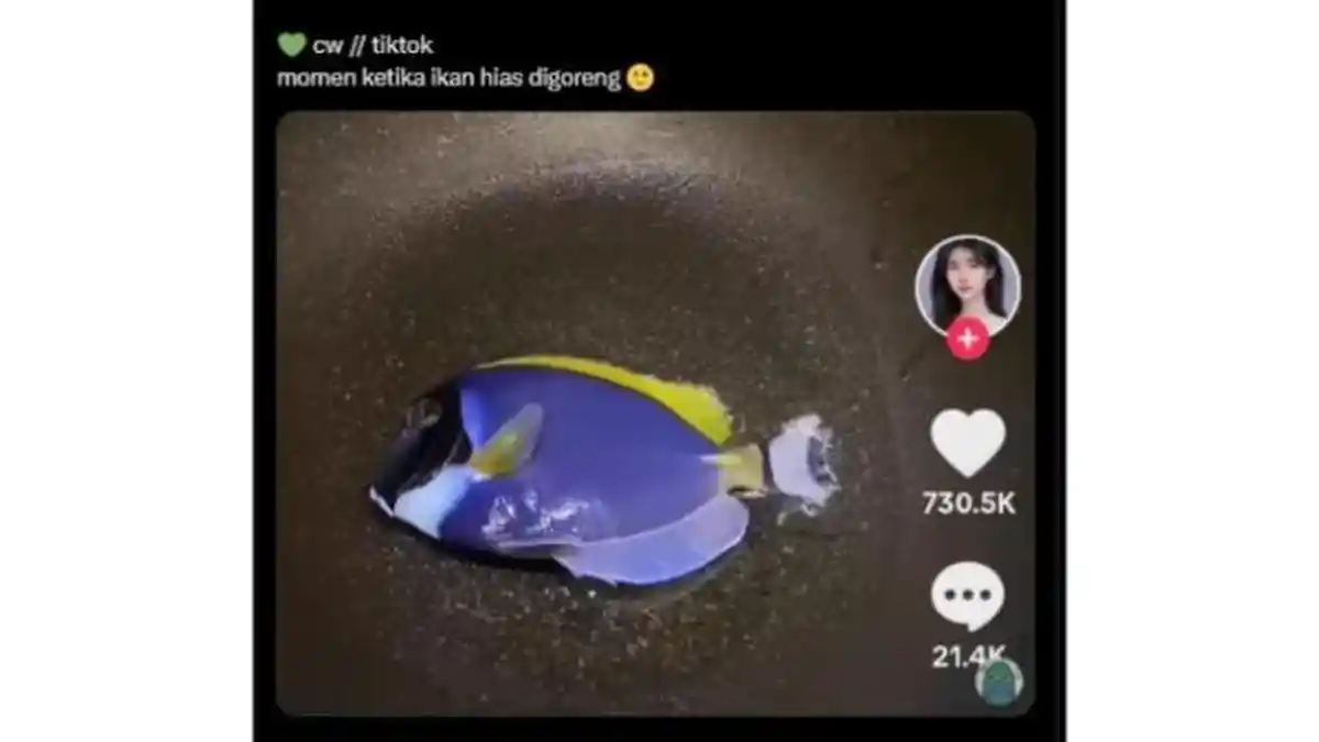 Viral Warganet Masak Ikan Dory Finding Nemo, Peneliti BRIN Ungkap Bahayanya, Bisa Bikin Keracunan?