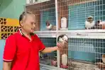 Muhammad-Kusolihudin-breeder-Merpati-Hias-Impor-di-Kota-Malang.jpg