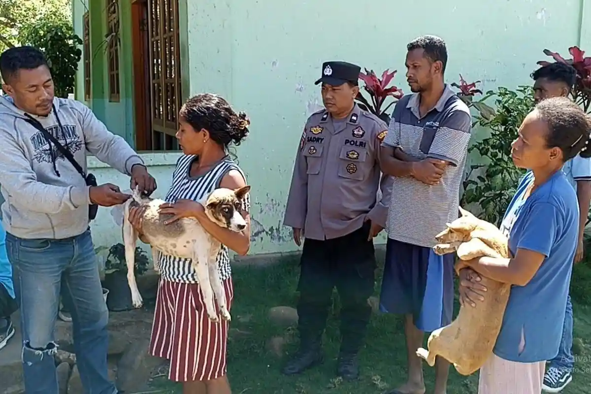 3 Desa di Talibura Sikka Jadi Sasaran Vaksinasi Rabies yang Digelar Polres Sikka