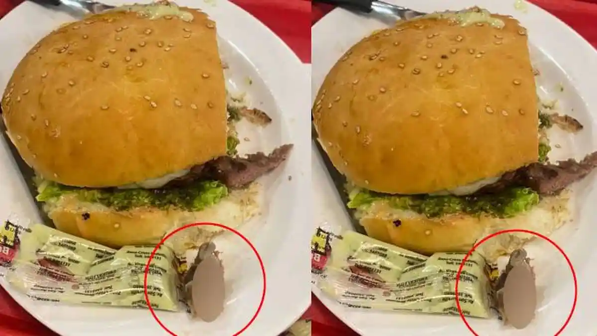 Makan Burger di Resto, Wanita Ini Kunyah Jari Manusia Busuk di Dagingnya, Ternyata Punya Karyawan?