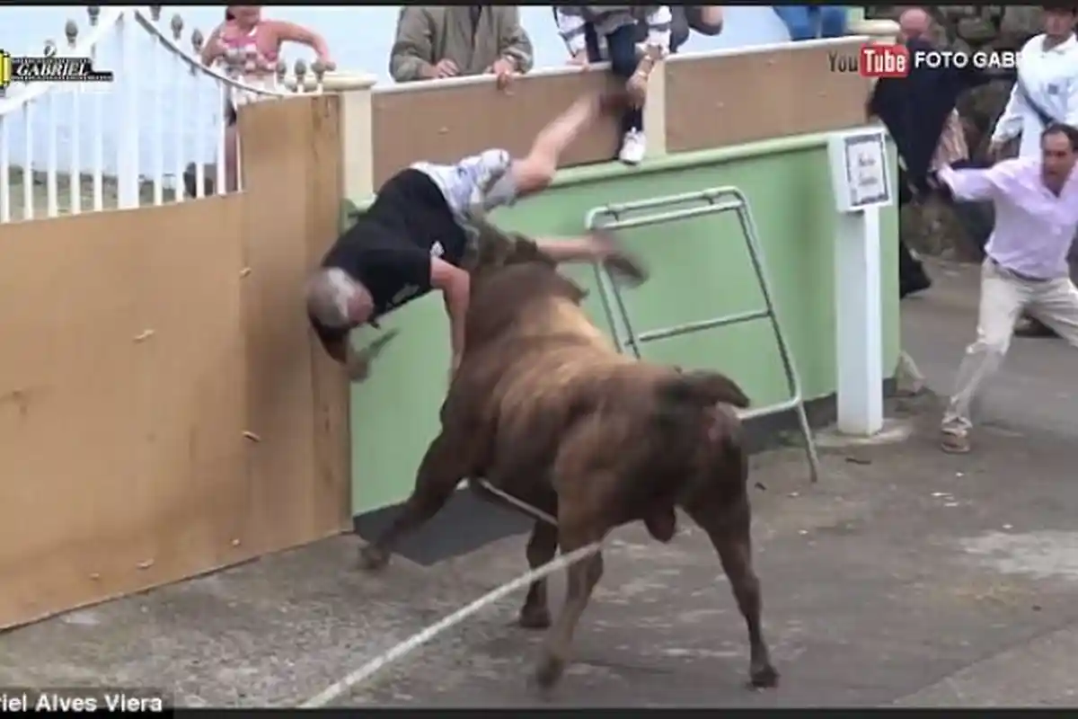 Gagal Taklukkan Banteng, Pria Ini Malah Jadi Sasaran Empuk, Pantatnya Ditanduk dan Dilempar ke Udara