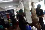 Masjid Istiqlal Potong Hewan Kurban Iduladha 1444 H