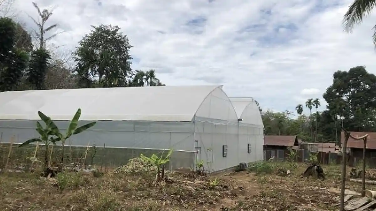 Cara ke Lokasi Wisata Petik Melon di Lintau Tanah Datar, Akses Mudah dan Gratis Masuk