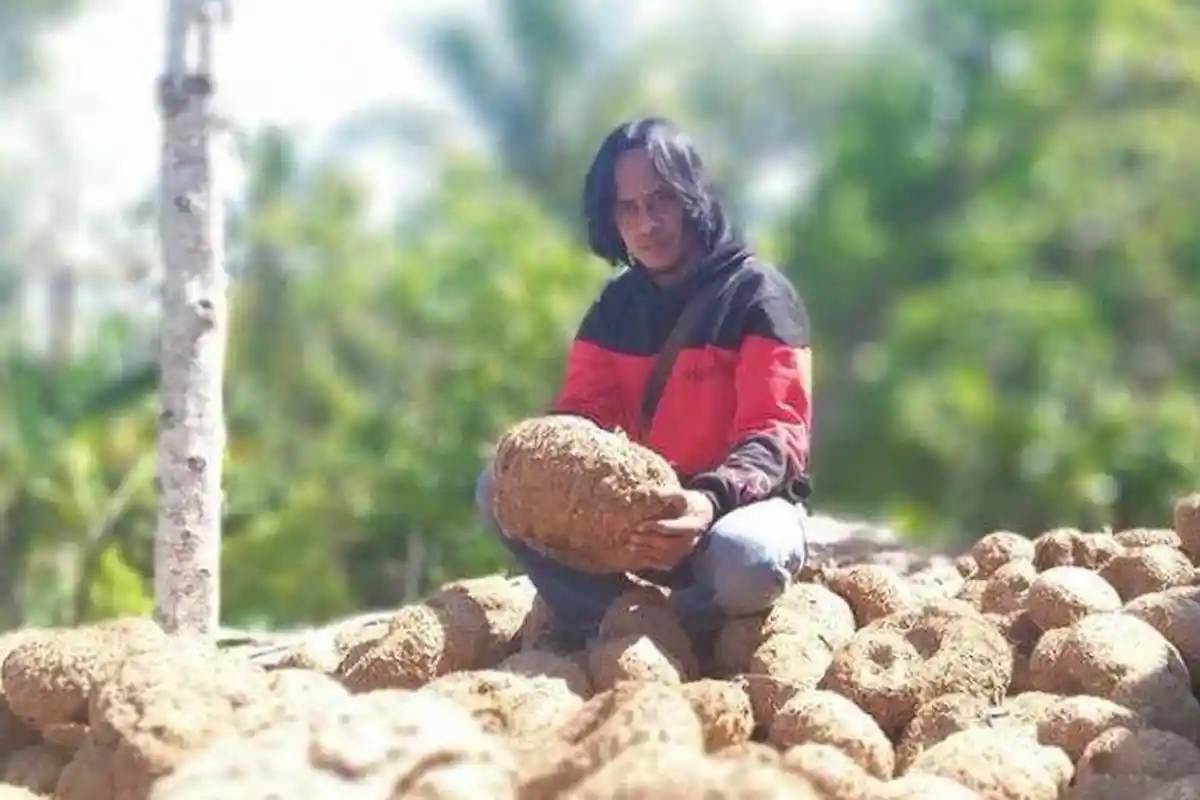 Dulu Dibuang karena Dianggap Makanan Ular, Tanaman Porang Ternyata Laku Keras di Pasar Ekspor