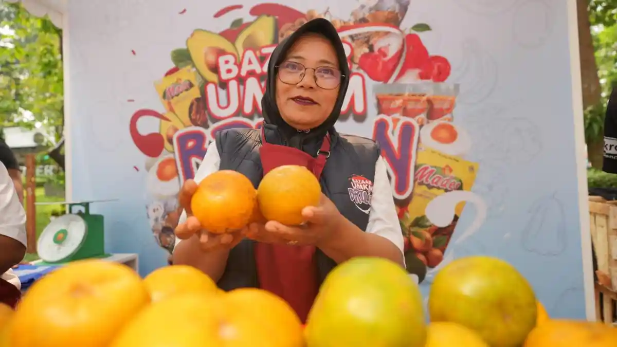 Lewat Pemberdayaan BRI, Klaster Usaha Jeruk di Jambi Makin Berkembang