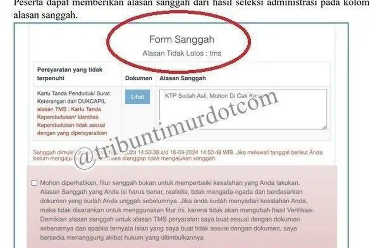 Jadwal Masa Sanggah CPNS 2023 dan Cara Mengajukan Sanggah Jika Tak Lolos Administrasi CPNS 2023