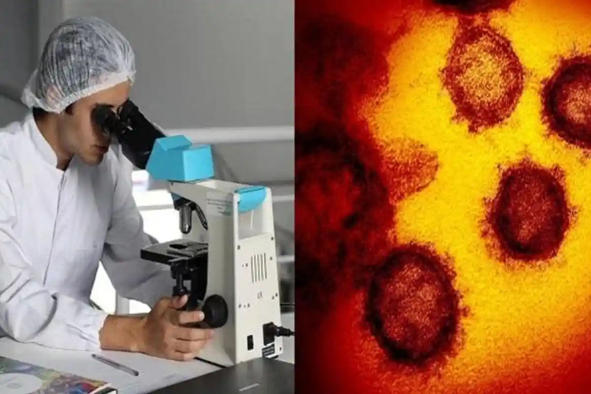 Bentuk Virus Corona Dilihat dari Mikroskop, Seperti Mahkota dan Berduri