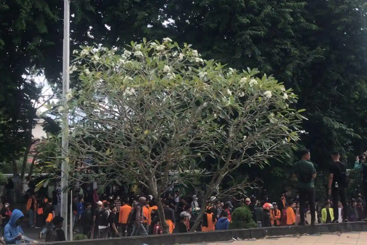 Massa Padati Kawasan Gubernur dan DPRD Jambi, Aparat Siaga Penuh