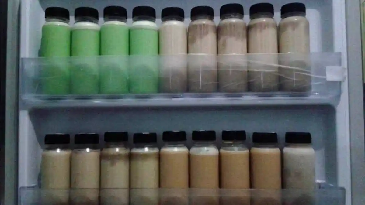 Segarnya Susu Kurma: Minuman Sehat yang Punya Segudang Manfaat