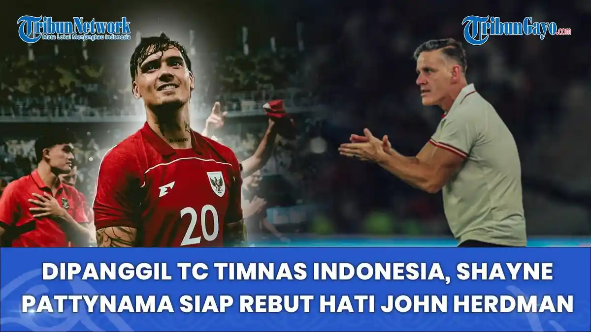 Dipanggil TC Timnas Indonesia, Shayne Pattynama Siap Rebut Hati John ...