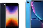 foto-iphone-se-2022-kiri-dan-iphone-xr-kanan.jpg