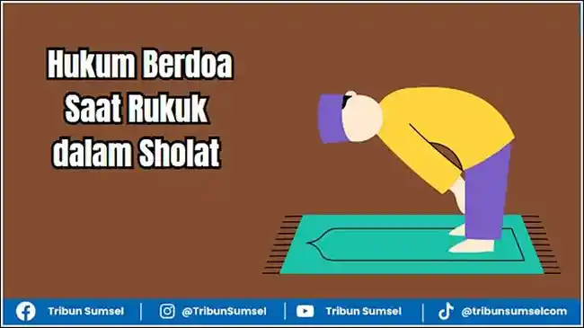 Tribun
