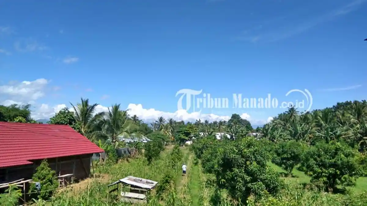 Peringatan Dini Cuaca Sulawesi Utara Hari Ini Minggu 4 Mei 2025, BMKG: Manado Cerah, Tomohon Hujan