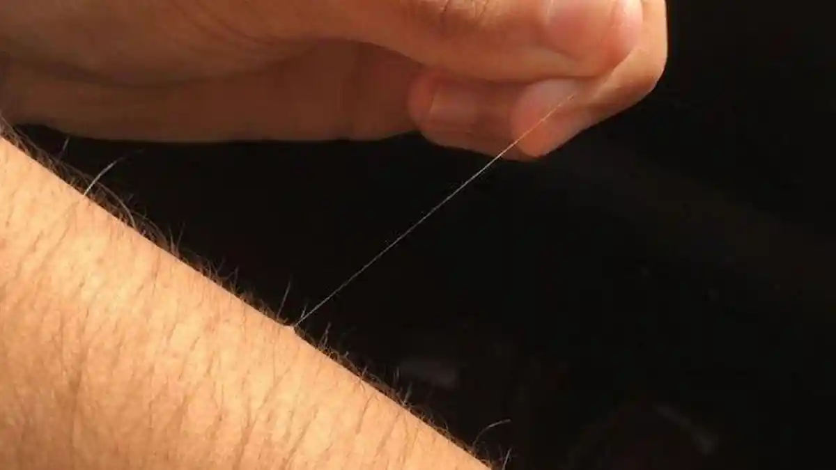 Alasan Kenapa Ada Salah Satu Rambut di Badan Kita Tumbuh Sangat Panjang ...