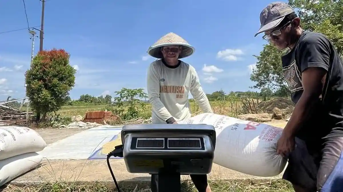 Capaian Serapan Beras Perum BULOG DIY Tembus 91 Persen, Optimistis Lampaui Target Tahunan