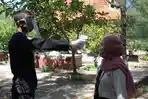 NEWS VIDEO: Kembali Dibuka, Ekowisata Mangrove Wonorejo Terapkan Satu Jalur Bagi Pengunjung