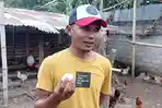 peternak-ayam-elba-telur-omega-mataram.jpg