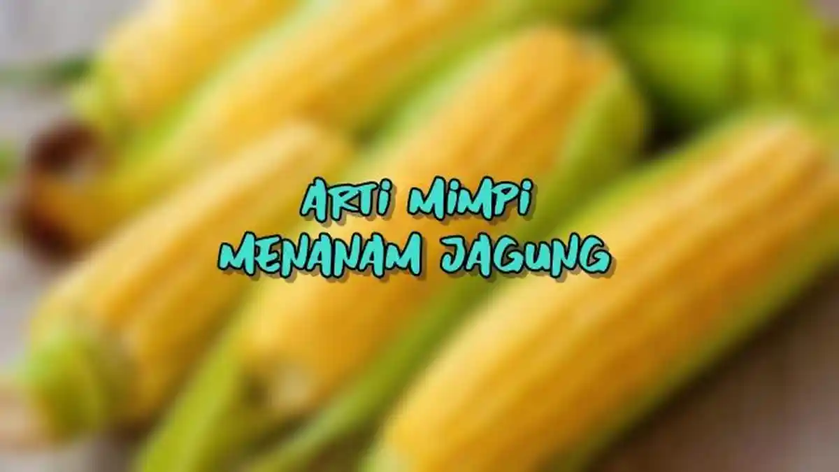 Arti Mimpi Menanam Jagung, Pertanda si Pemimpi Harus Bersabar, Berikut Tafsirannya