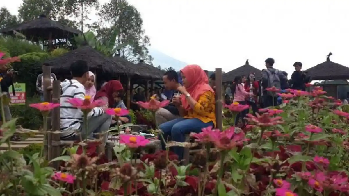 Cafe Sawah Roundh 78 Pujon Kidul Malang Terbakar, Seekor Kuda Mati Terpanggang