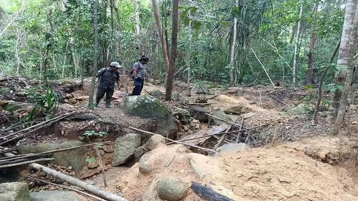 Markus Perintah Jaga Menumbing, Tim Gabungan Pergoki Penambang di Taman ...