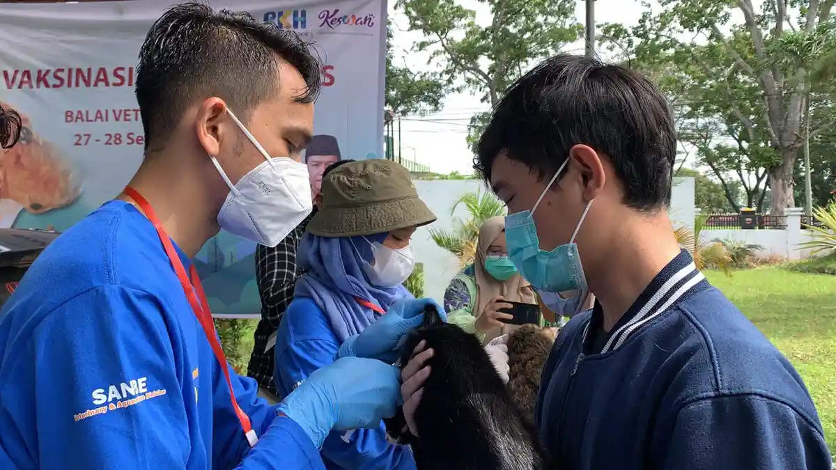 4 Cara Mengatasi Penyakit Rabies pada Binatang yang Wajib Diketahui