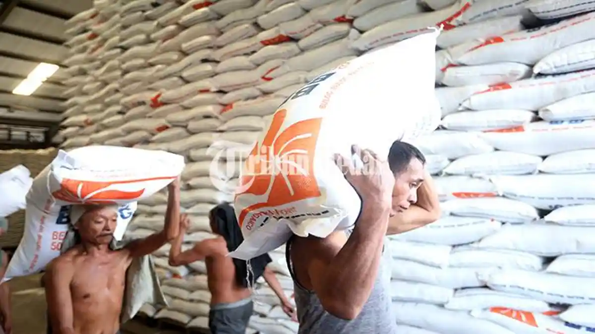 Harga Beras Sempat Naik Tembus Rp 17 Ribu, Bulog Mengaku Sudah Normal Lagi: Karena Badai El Nino