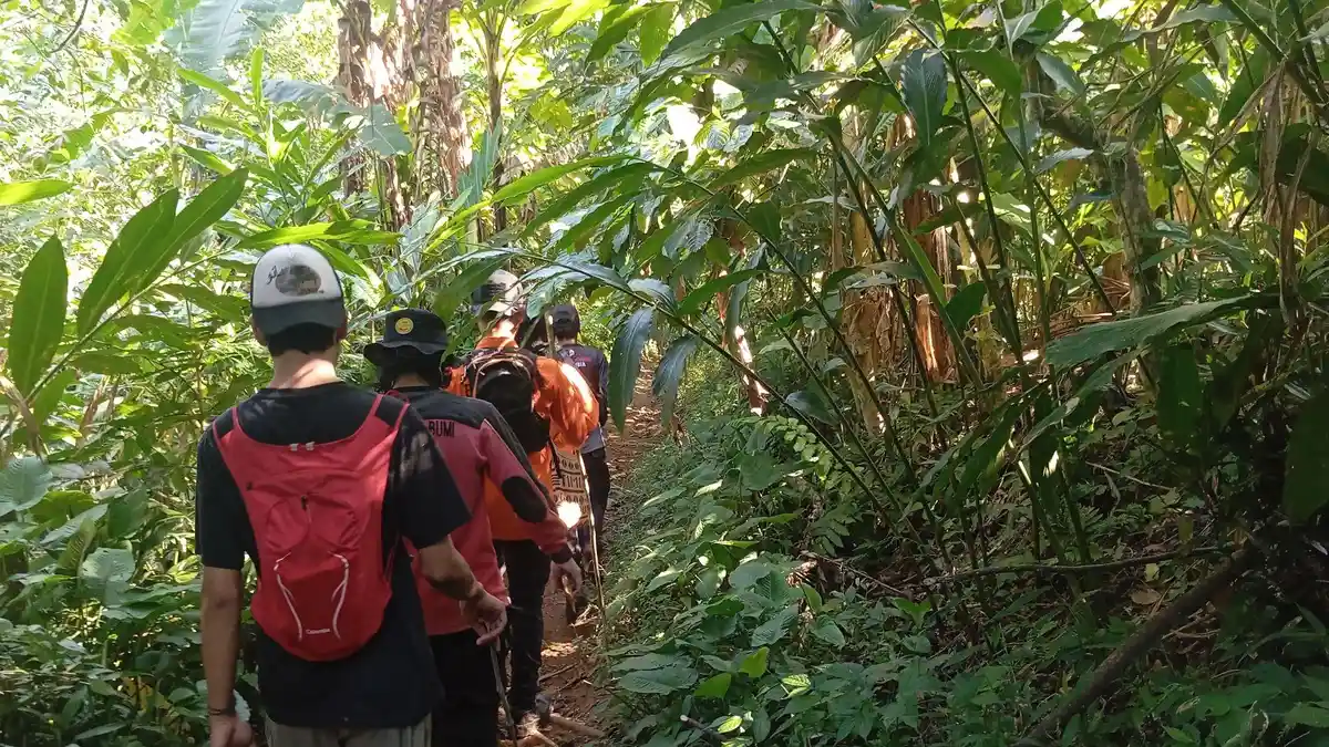 Kakek Naruh Hilang di Hutan Paguyangan Brebes, Tim SAR Terhalang 2 Kendala - Tribunjateng.com