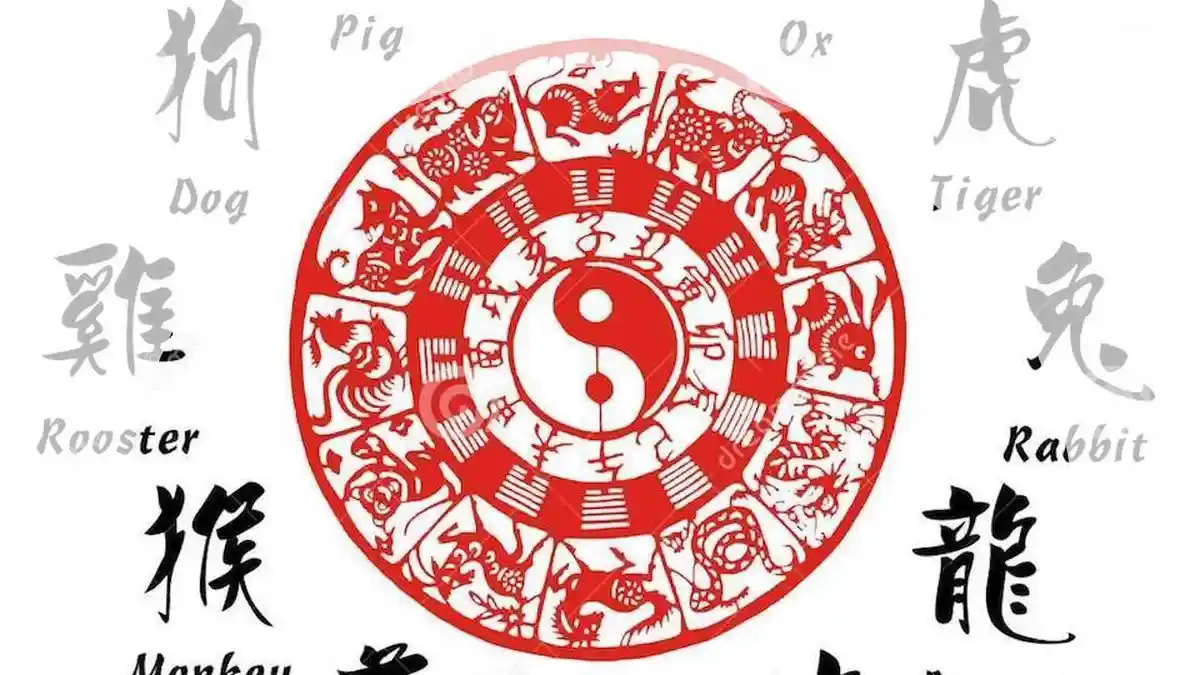RAMALAN SHIO Hari Ini Minggu 4 Februari 2024: Shio Ular Jangan Kecil Hati, Calm Down Shio Anjing