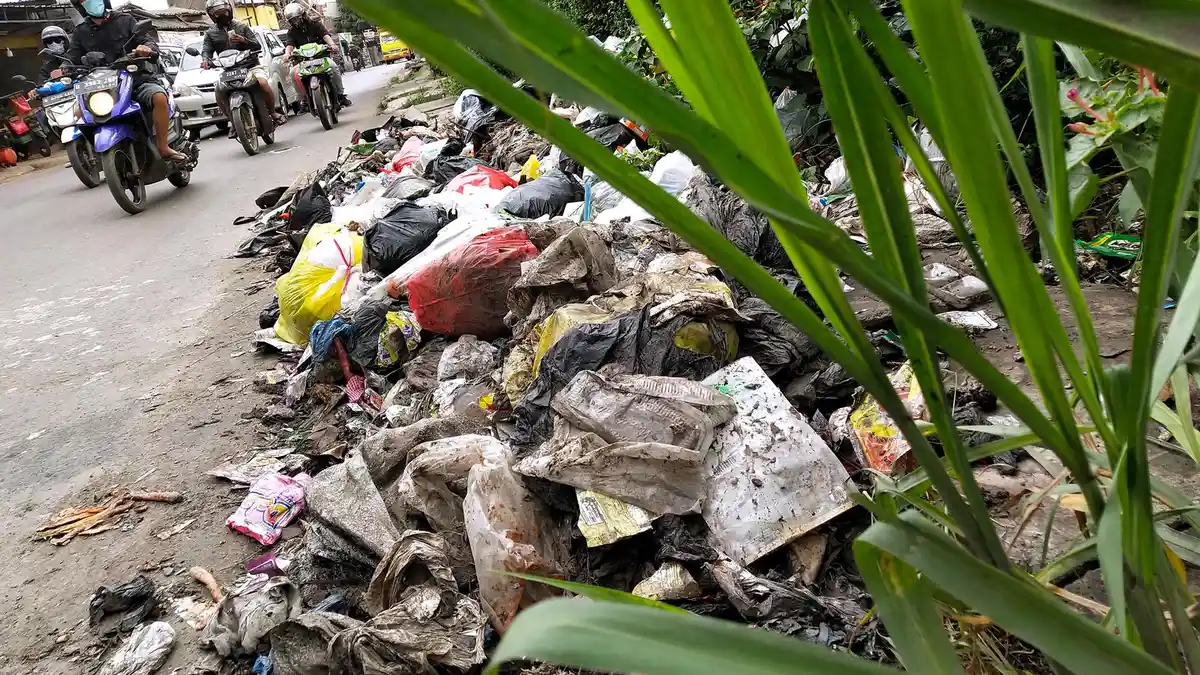 NasDem Gelar Aksi Peduli Lingkungan di Sejumlah Daerah