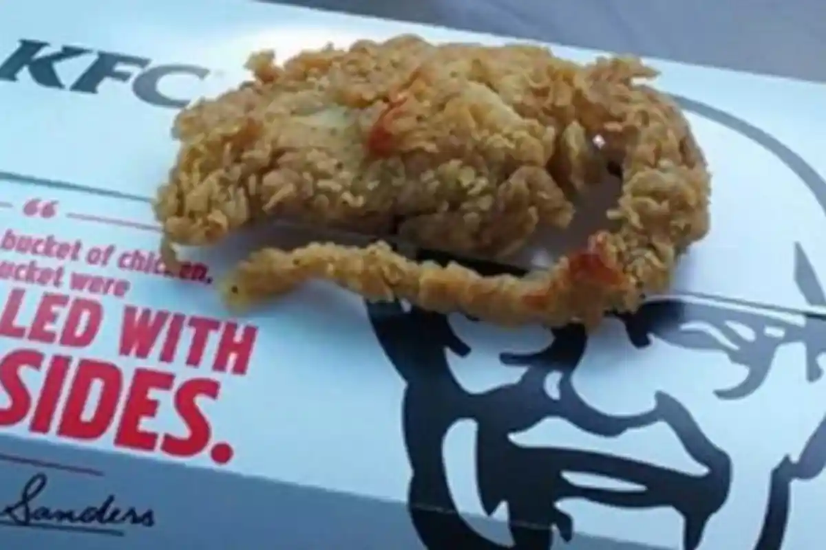 Ihh Ngeri, KFC Sajikan Tikus Goreng ?