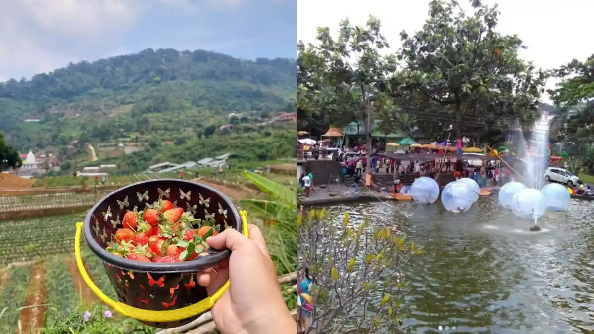 Libur Tahun Baru 2025, Buru Oleh-oleh ke 5 Tempat Wisata Bogor Ini, Bawa Pulang Batik hingga Cokelat