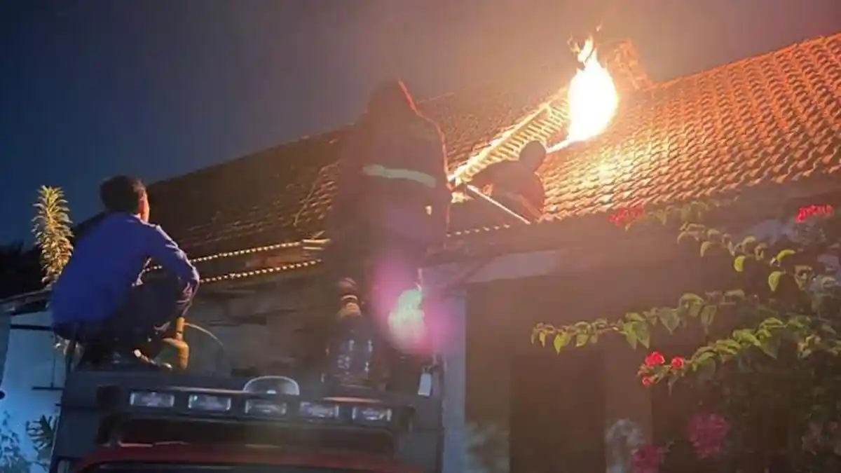 Damkar Tulungagung Hadapi Ledakan Koloni Tawon Vespa, Sudah Ada 464 Aduan Warga 