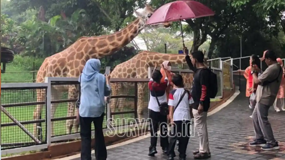 Momen Libur Sekolah, Ada Harga Tiket Khusus Berwisata di Jatim Park Group, Catat Rinciannya