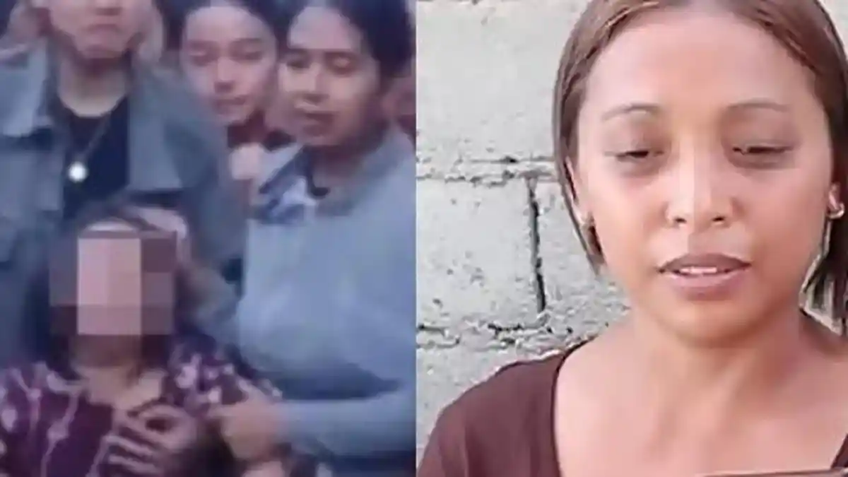 Dewi Suryantini, Istri Tersangka Pencurian Ayam di Bali Berbohong ke KDM, Berikut Harga Ayam Laga - Tribun-medan.com