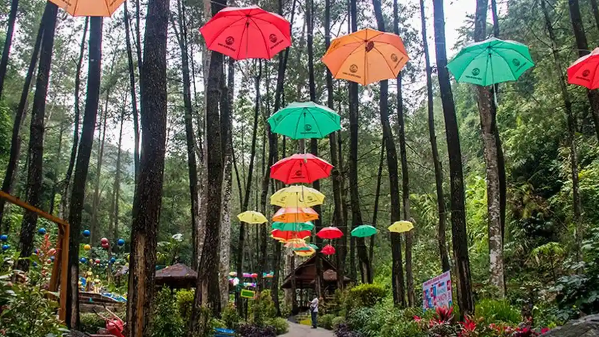 Air Terjun Pengantin Hingga Kebun Teh, Ini Deretan Tempat Wisata Ngawi yang Menarik Dikunjungi
