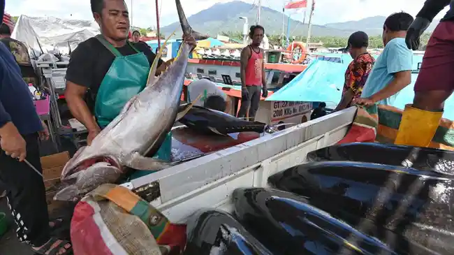Pelabuhan Bitung Akan Dimaksimalkan Jadi Pelabuhan Perikanan Ekspor