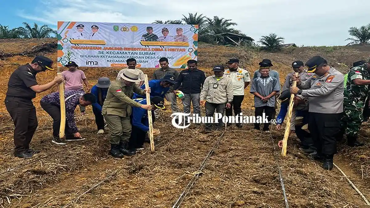 Bupati Satono Launching Penanaman Jagung 1 Desa 1 Hektar di Subah