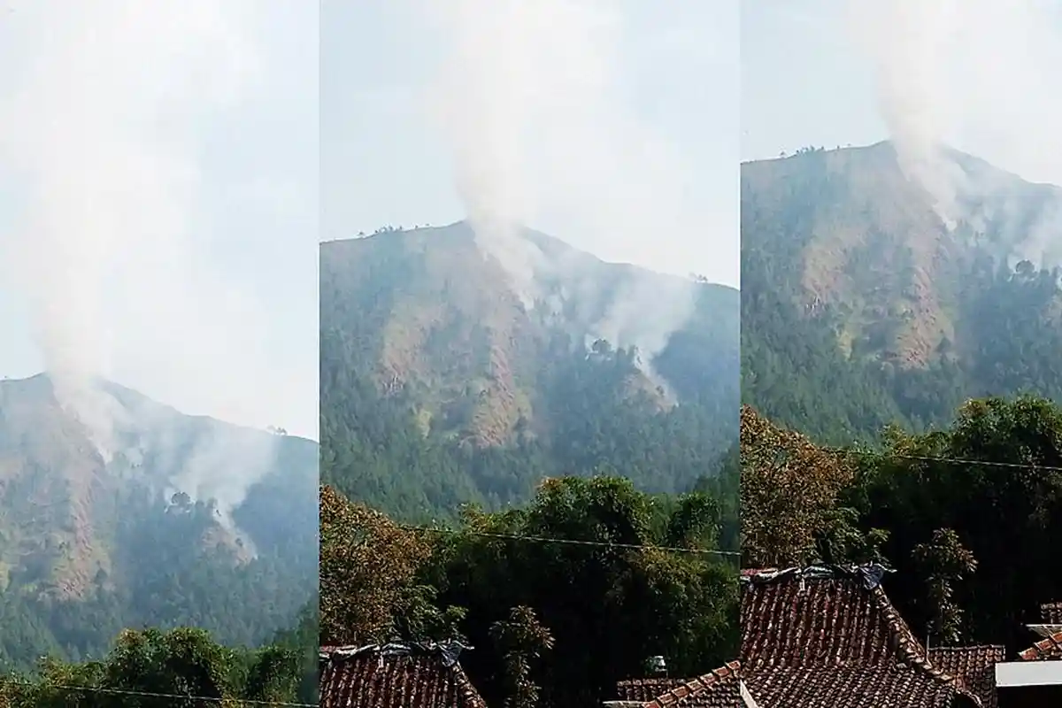 50 Relawan Padamkan Kobaran Api yang Menghanguskan Lereng Gunung Andong Magelang