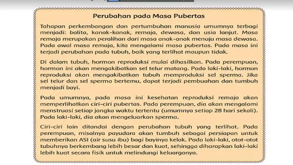 Persiapan Apa yang Harus dilakukan Menghadapi Pubertas?Kunci Jawaban SD Kelas 6 Tema 7 Halaman 117