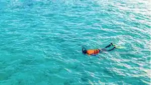 Ilustrasi-snorkeling.jpg