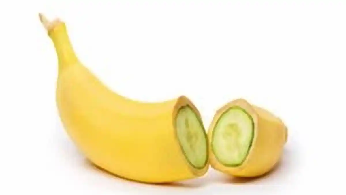 Wanita 30 Tahun Gigit Kelamin Pria yang Mau Memperkosa hingga Lidah Pemerkosa Putus Digigit Dokter