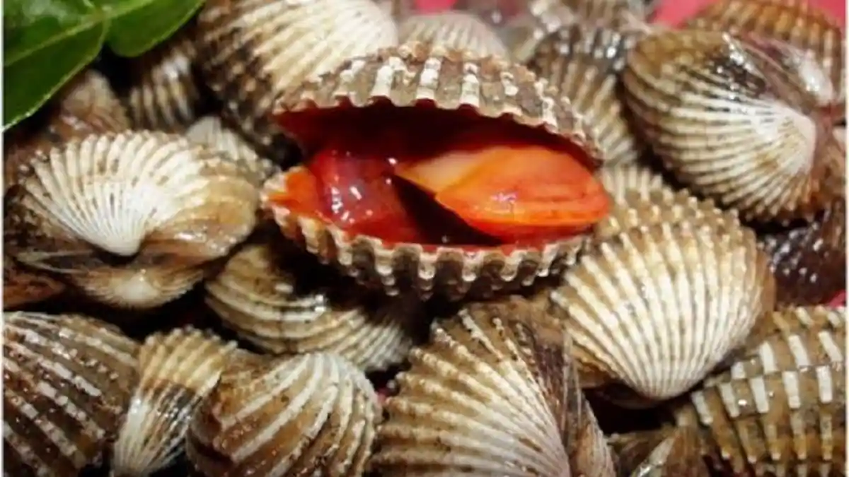 9 Daftar Makanan yang Paling Berbahaya di Dunia, 2 Diantaranya Sering Dimakan Orang Indonesia