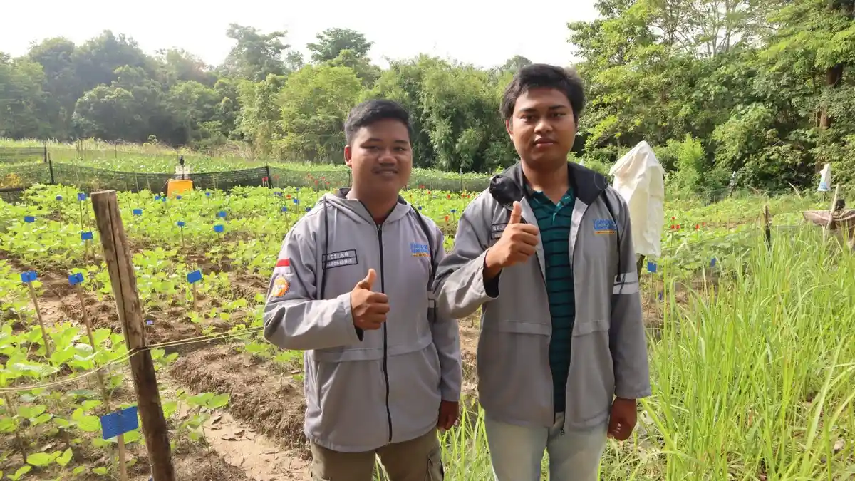 Kisah Bejujung, Warga SAD yang Berkuliah di Universitas Jambi