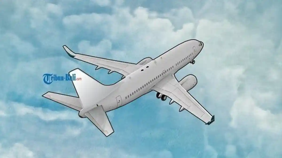 Pesawat Rimbun Air PK OTW HILANG KONTAK di PAPUA