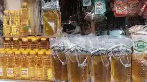 migor-kota-bogor-naikk.jpg