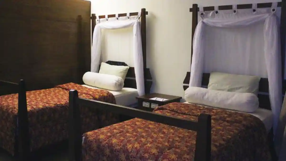 Samboja Lodge: Penginapan Eksklusif yang Berada di Tengah Hutan Kalimantan