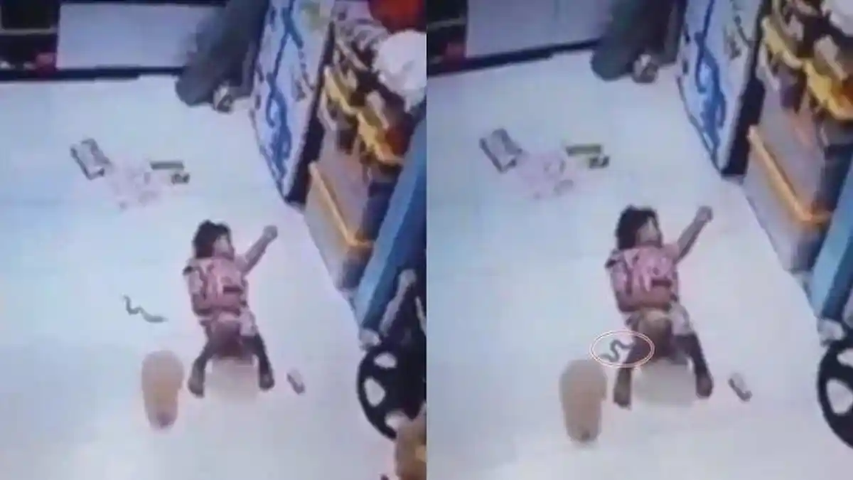 Anak Kecil Sedang Tidur di Lantai Celana Dimasuki Ular, Peristiwanya Terekam CCTV