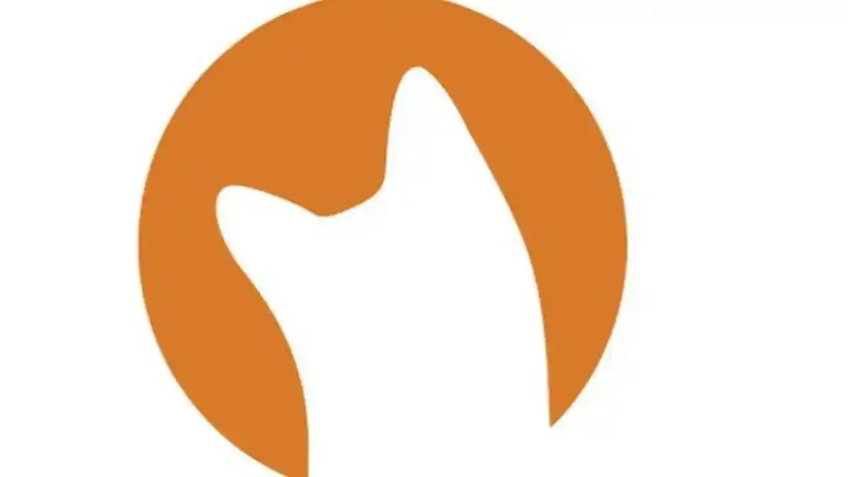 Cara Hasilkan Uang dari Aplikasi Curious Cat, Cuma Jawab Survei Bisa Dapat Duit, Terbukti Cuan!
