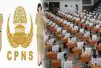 pendaftaran-cpns-2021-diundur-bkn-tegaskan-batal-dibuka-tanggal-31-mei.jpg
