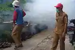 diskes-fogging-3-lokasi-rawan-penyebaran-nyamuk-di-kupang-teba.jpg